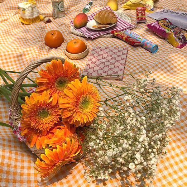 Cottagecore Gingham Tablecloth | Y2K Aesthetic Home Decor for Cozy Vibes