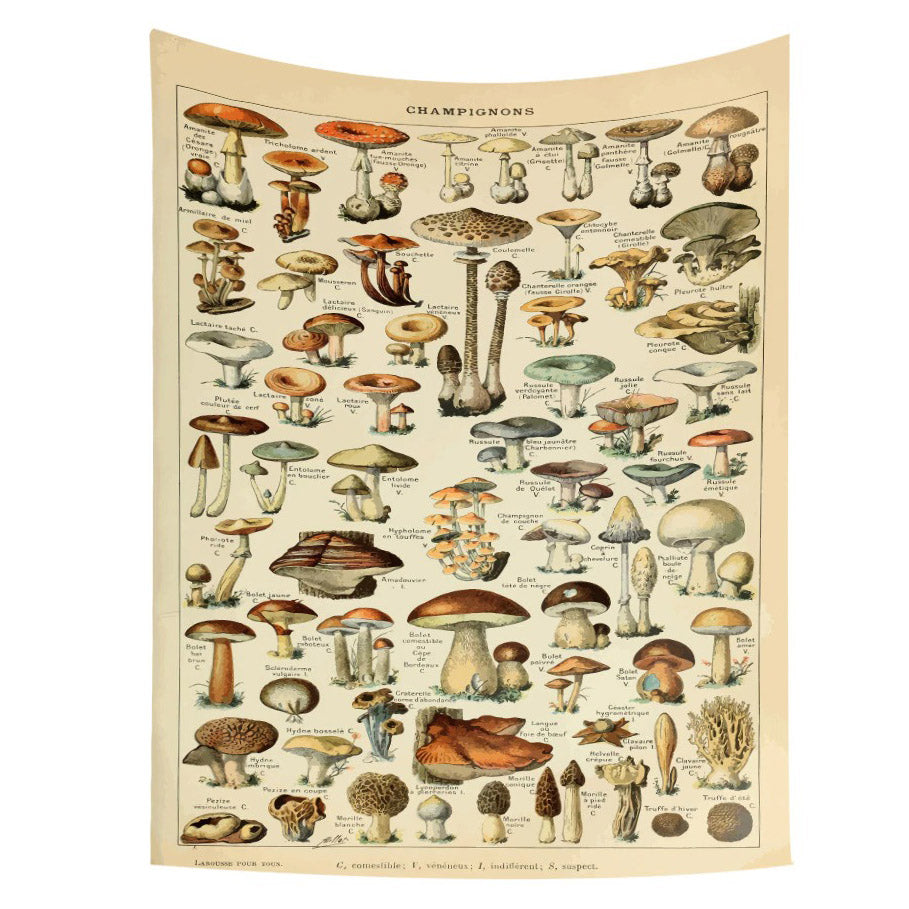 Vintage Aesthetic Mushrooms Wall Tapestry - Y2K Decor for Cozy Aesthetic Rooms