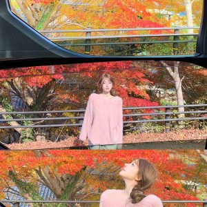 Artistic High Honey Lazy Style Loose Pullover Sweater for Women - Imitation Mink Fur Plush Knit Top