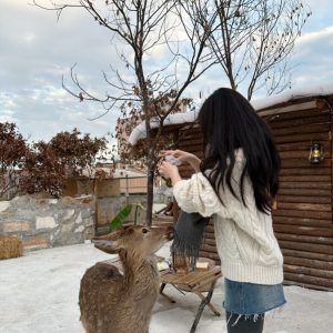 Chunky Knit Sweater for Women | 40% Wool 10% Cashmere | Casual Holiday Style | Cozy Winter Fashion