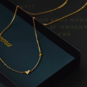 Delicate Heart Pure Silver Necklace for Women - Lightweight Luxury Collarbone Chain, Versatile Trendy Jewelry