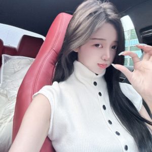 Half High-Neck Sleeveless Knitted Top - Slim-Fit, Unique Design for Spring & Autumn, Fashionable 2025 Style