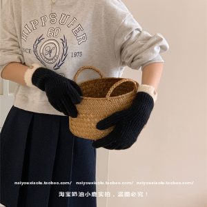 Korean-Style Imitation Mink Fur Spliced Split-Finger Gloves for Women - Warm Autumn Winter Five-Finger Fashion Accessory