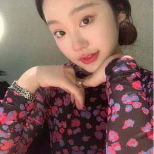 Sheer Floral Mesh T-Shirt Top for Women - Spring Summer Design, Trendy Chen Daitui Style, Perfect for Y2K and Korean Fashion